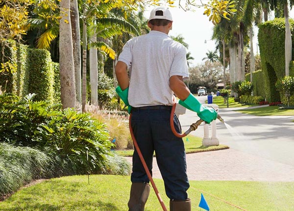 About Barnard KS Pest Control